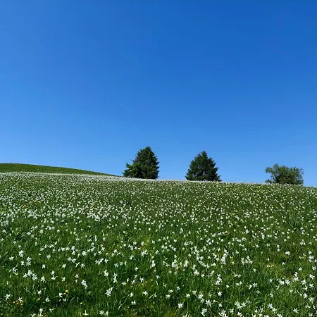 Apartament La Poesia Dolomiti